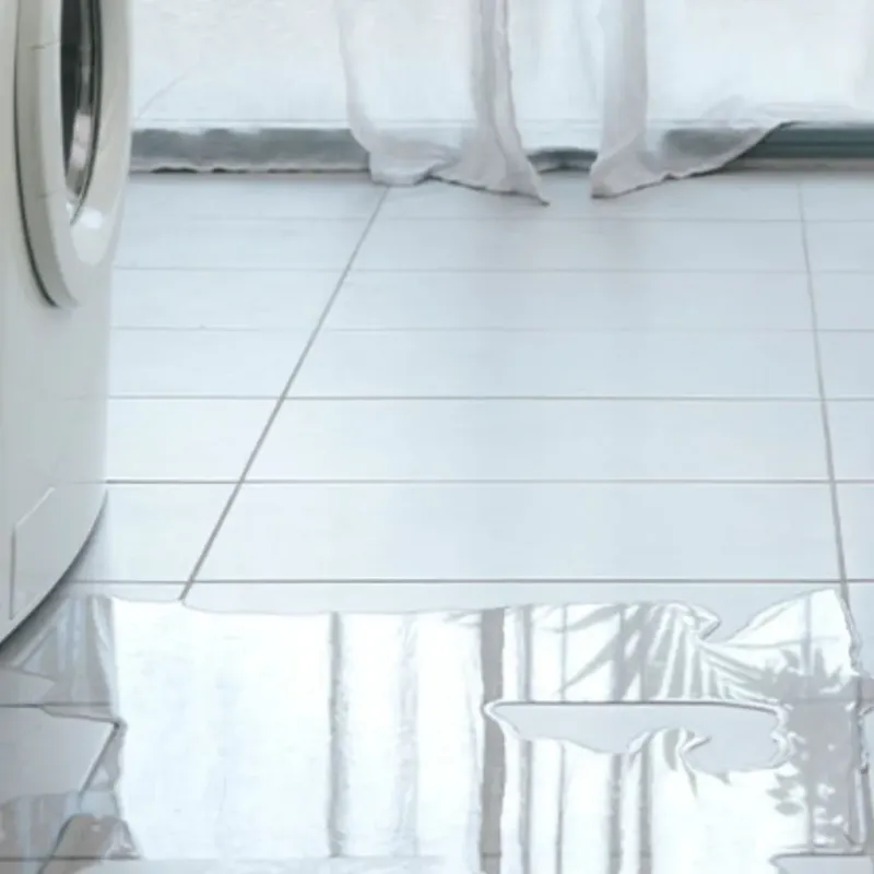 Appliance Leak Cleanup in North Ridgeville, OH