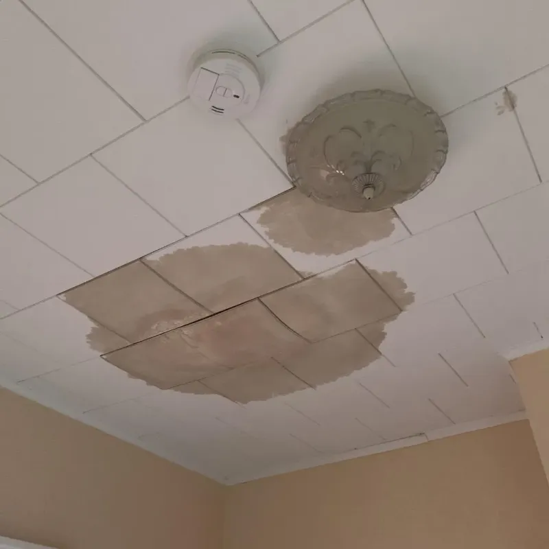 Ceiling Water Damage Repair in North Ridgeville, OH