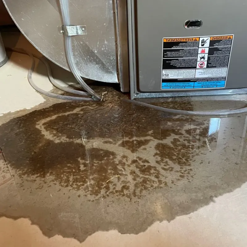 Pipe Burst and Leak Restoration in North Ridgeville, OH