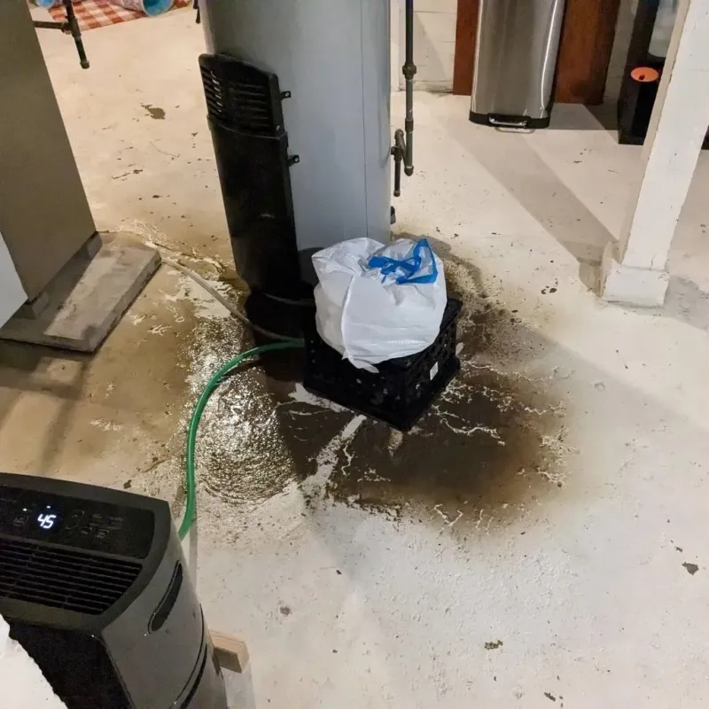 Sewage Backup Cleanup Service in North Ridgeville, OH
